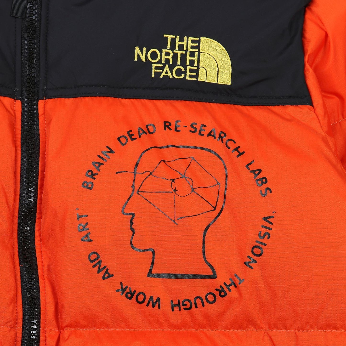 The North Face Down Jacket