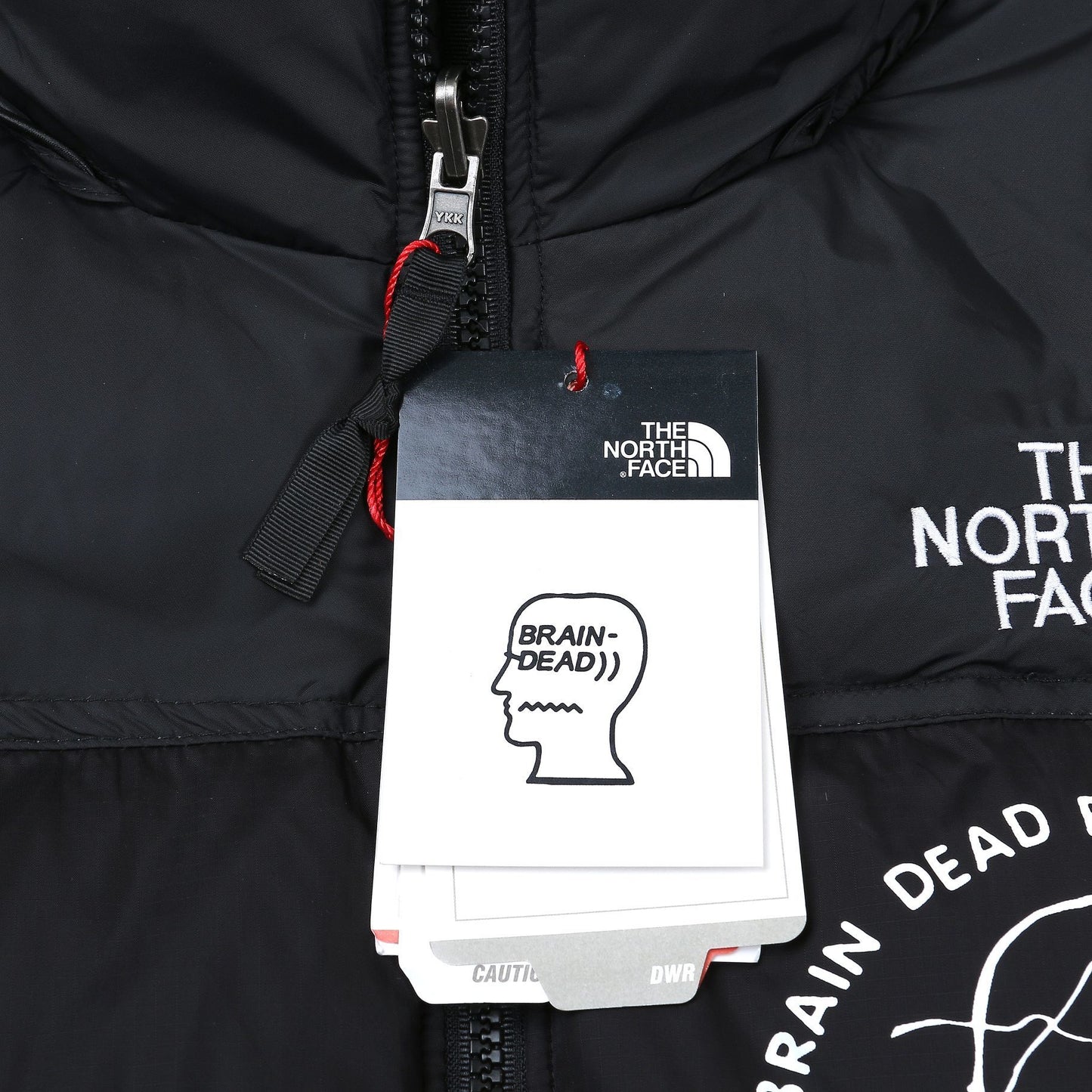 The North Face Down Jacket
