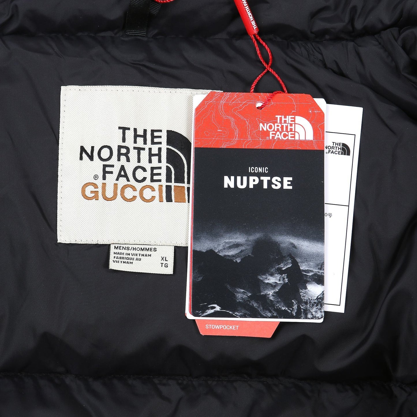 The North Face Down Jacket Gucci