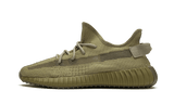 YBoost 350 V2 Earth