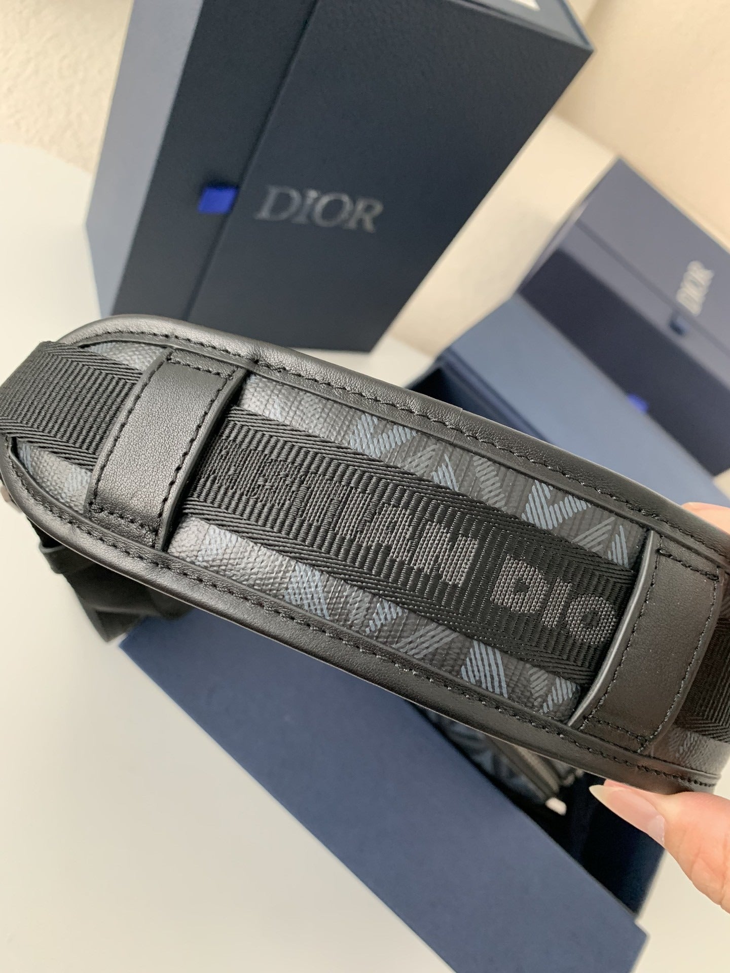 DIOR Safari CD Diamond