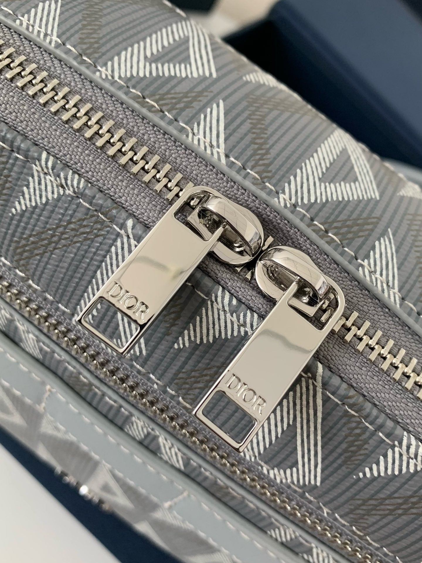 DIOR Safari CD Diamond W