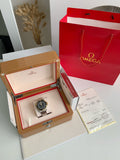 Omega Seahorse Series 300-meter dive wristwatch,43.5mm
