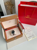 Omega Seahorse Series AQUA TERRA 150-meter dive wristwatch,41mm