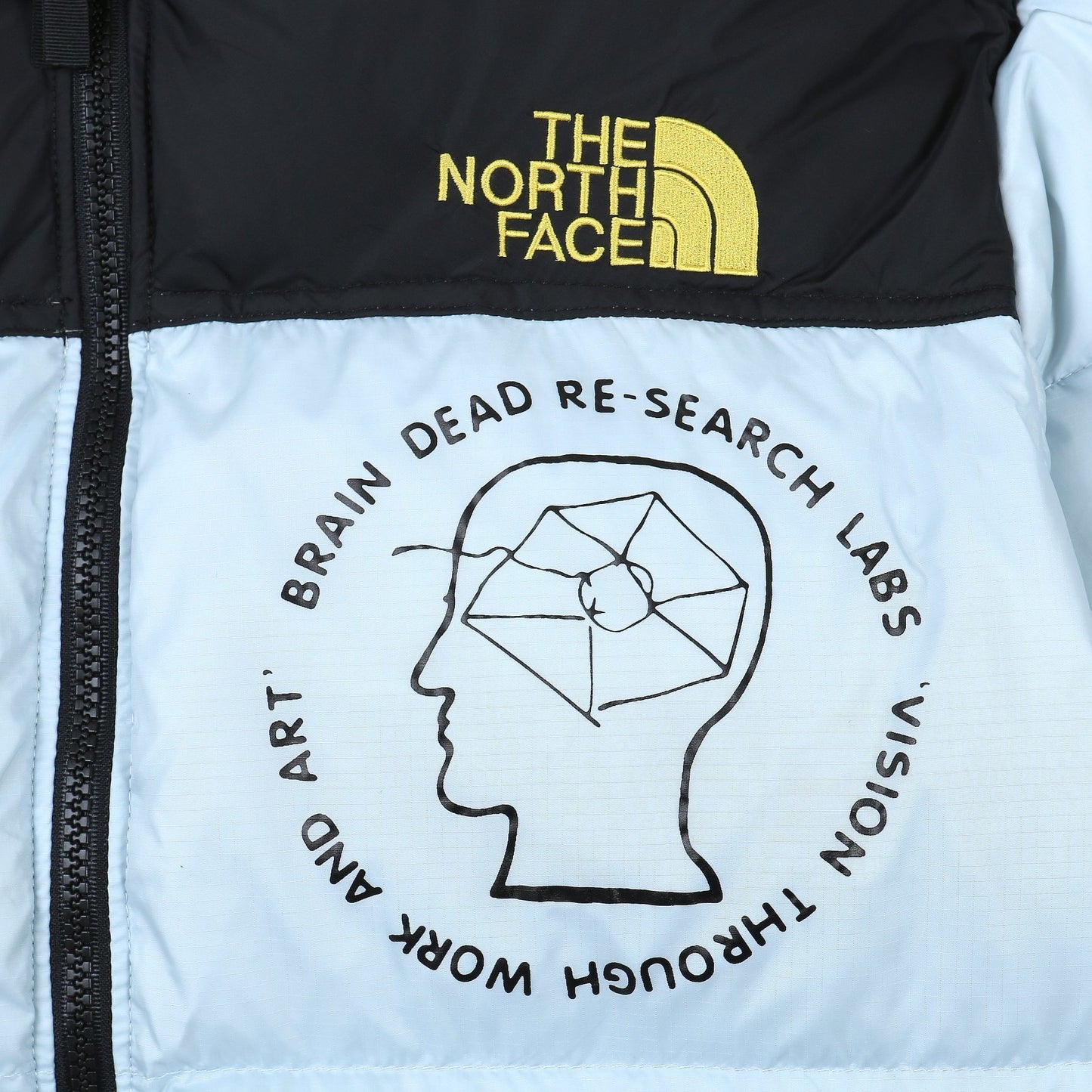The North Face Down Jacket