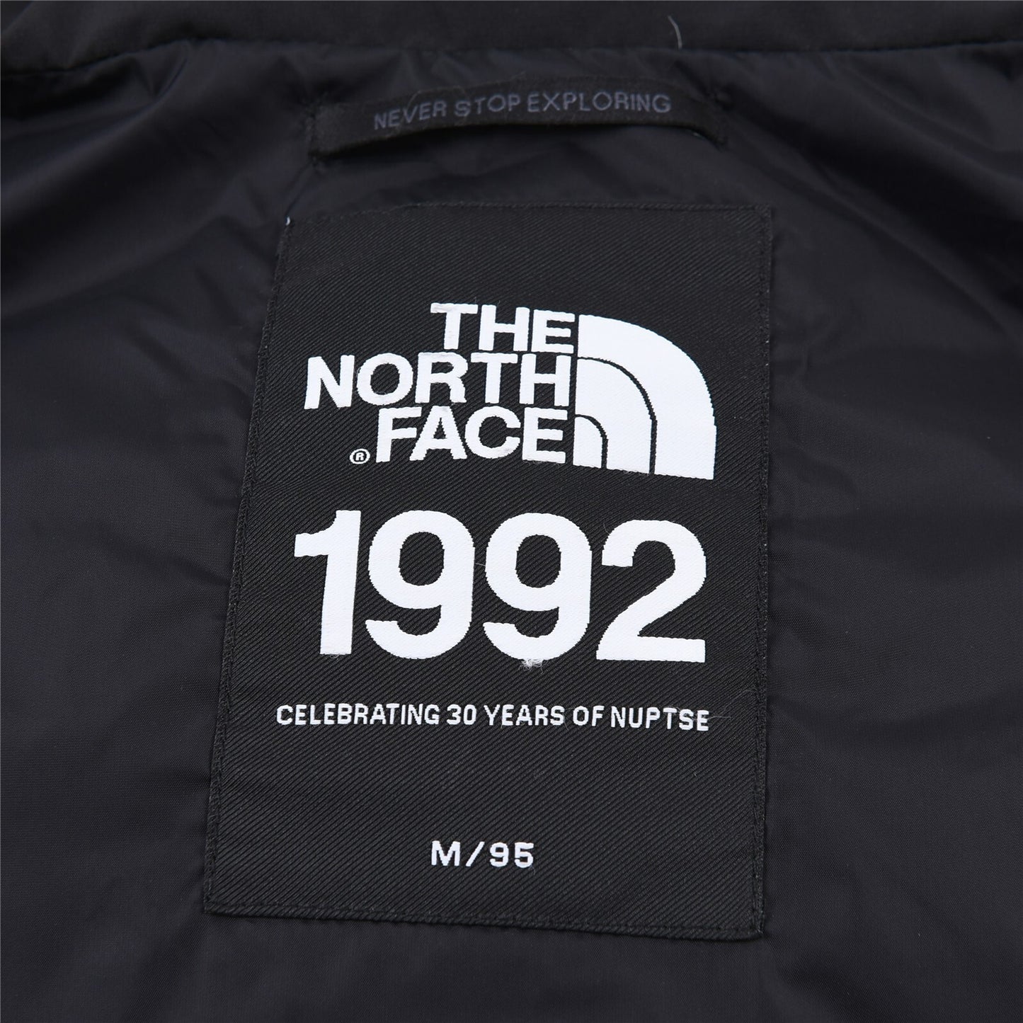 The North Face Down Jacket