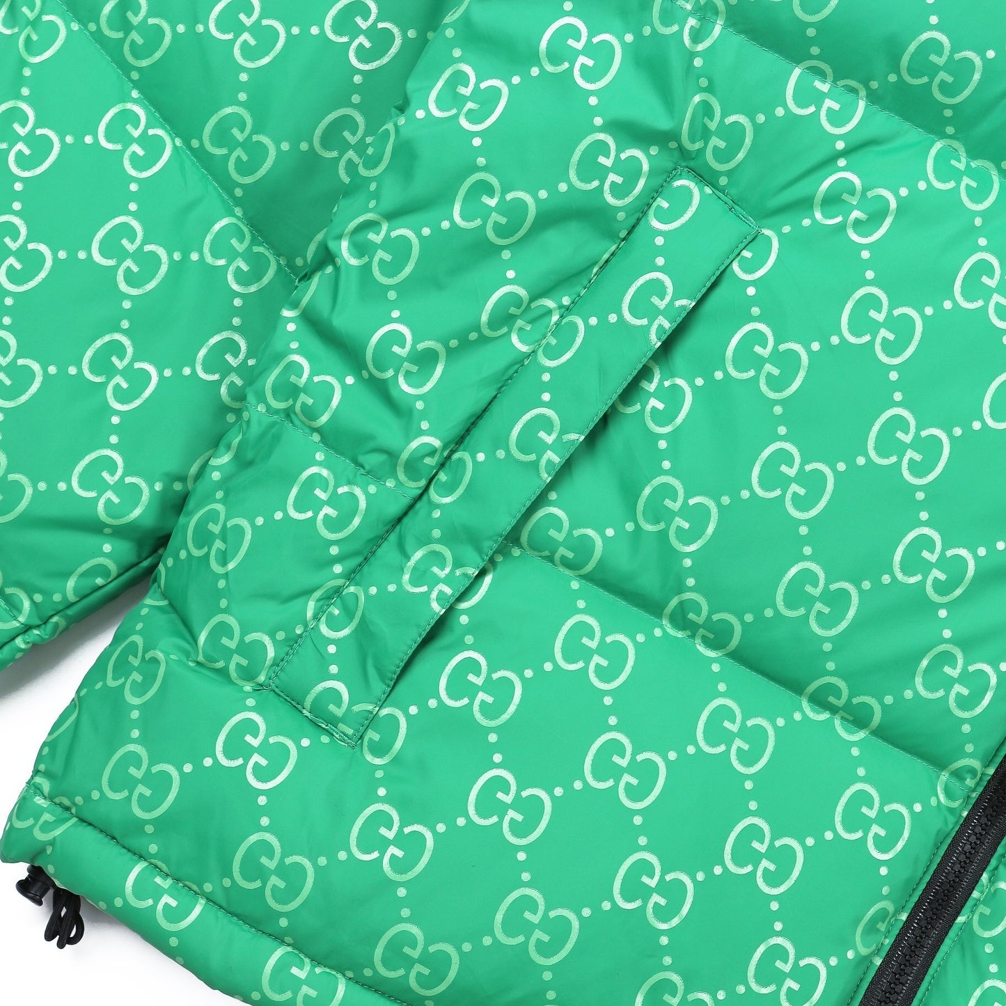 The North Face Down Jacket Gucci