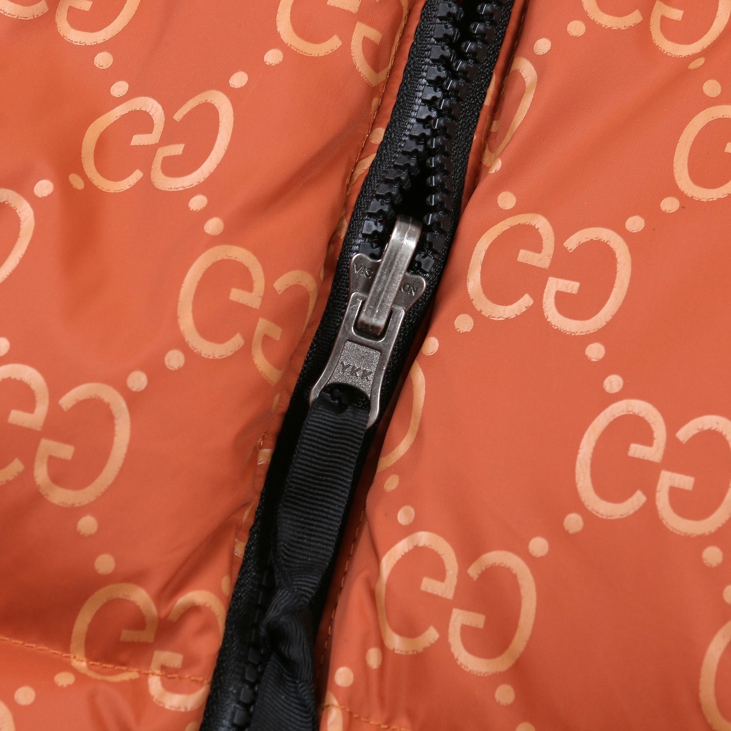 The North Face Down Jacket Gucci