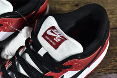 SB Dunk Low J-Pack Chicago