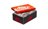 AJ 1 Retro High Chicago Lost & Found