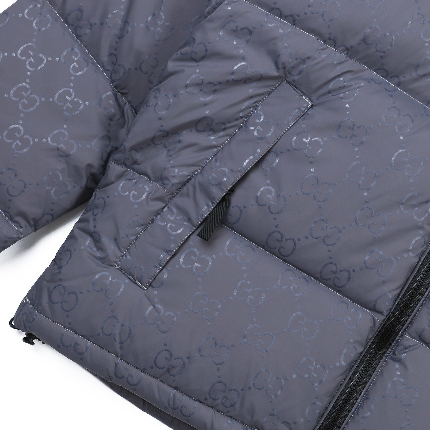 The North Face Down Jacket Gucci