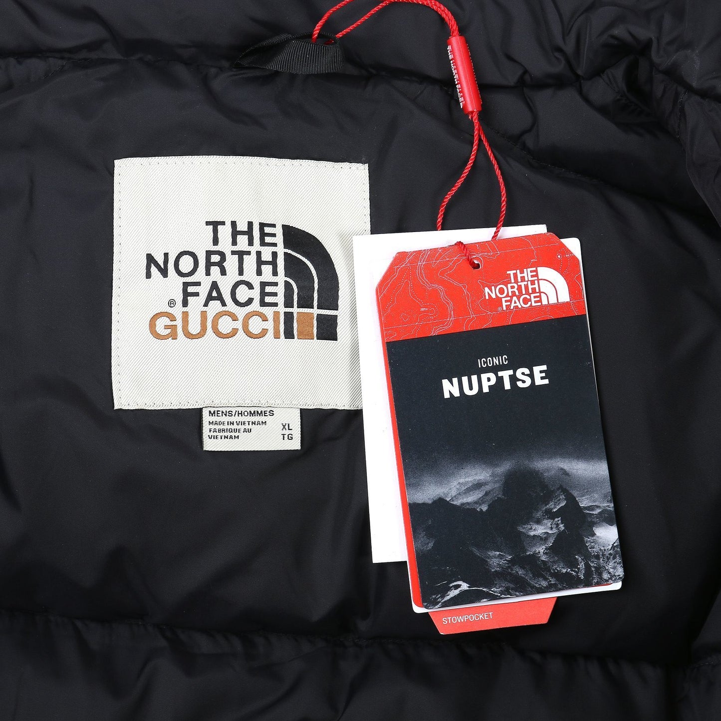 The North Face Down Jacket Gucci