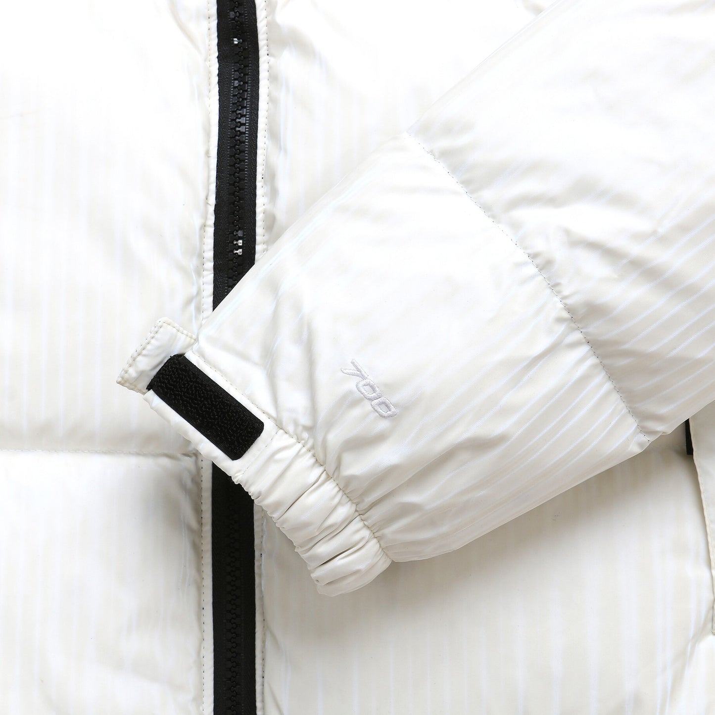 The North Face Down Jacket