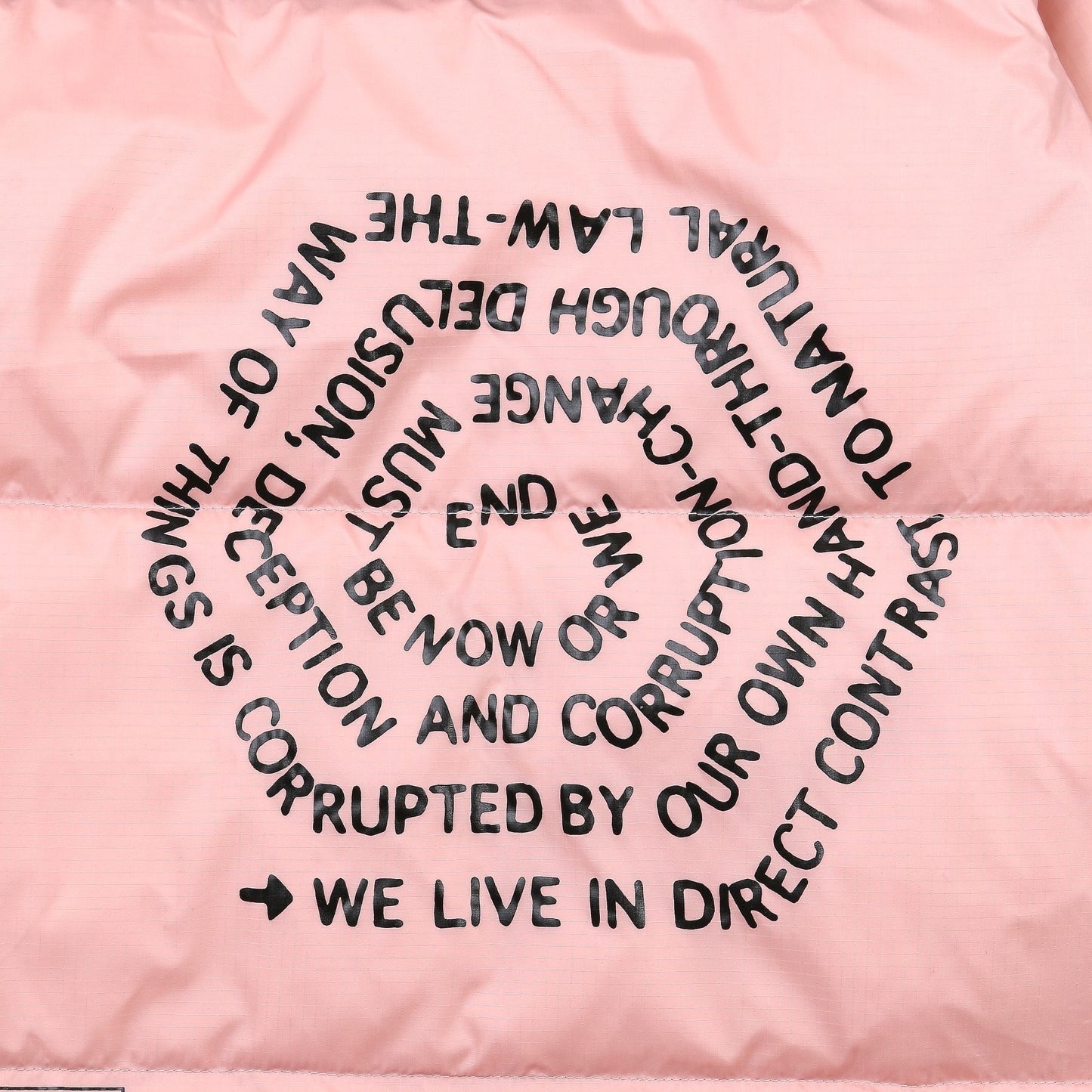 The North Face Down Jacket