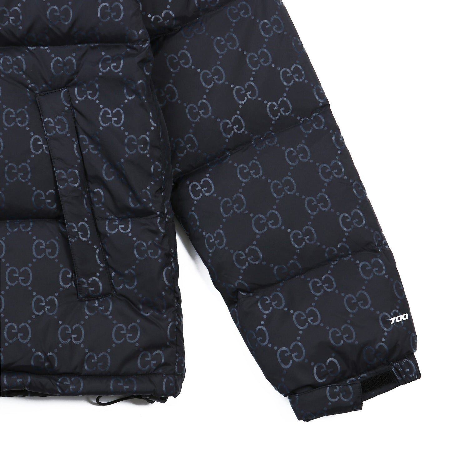 The North Face Down Jacket Gucci