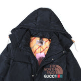 The North Face Down Jacket Gucci