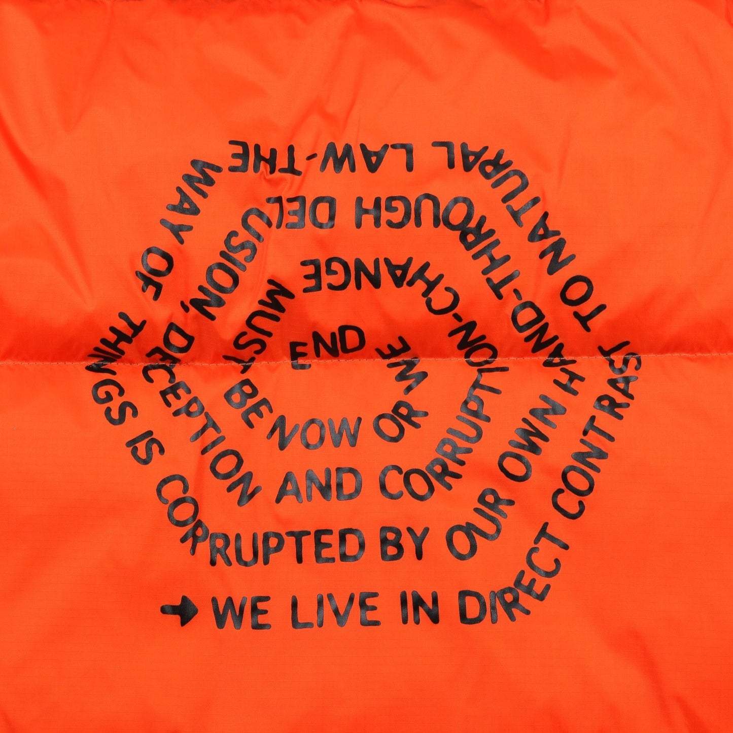 The North Face Down Jacket