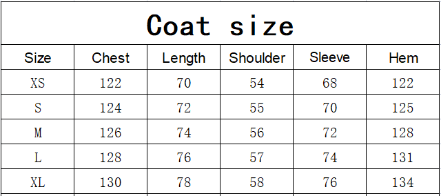 The North Face Down Jacket