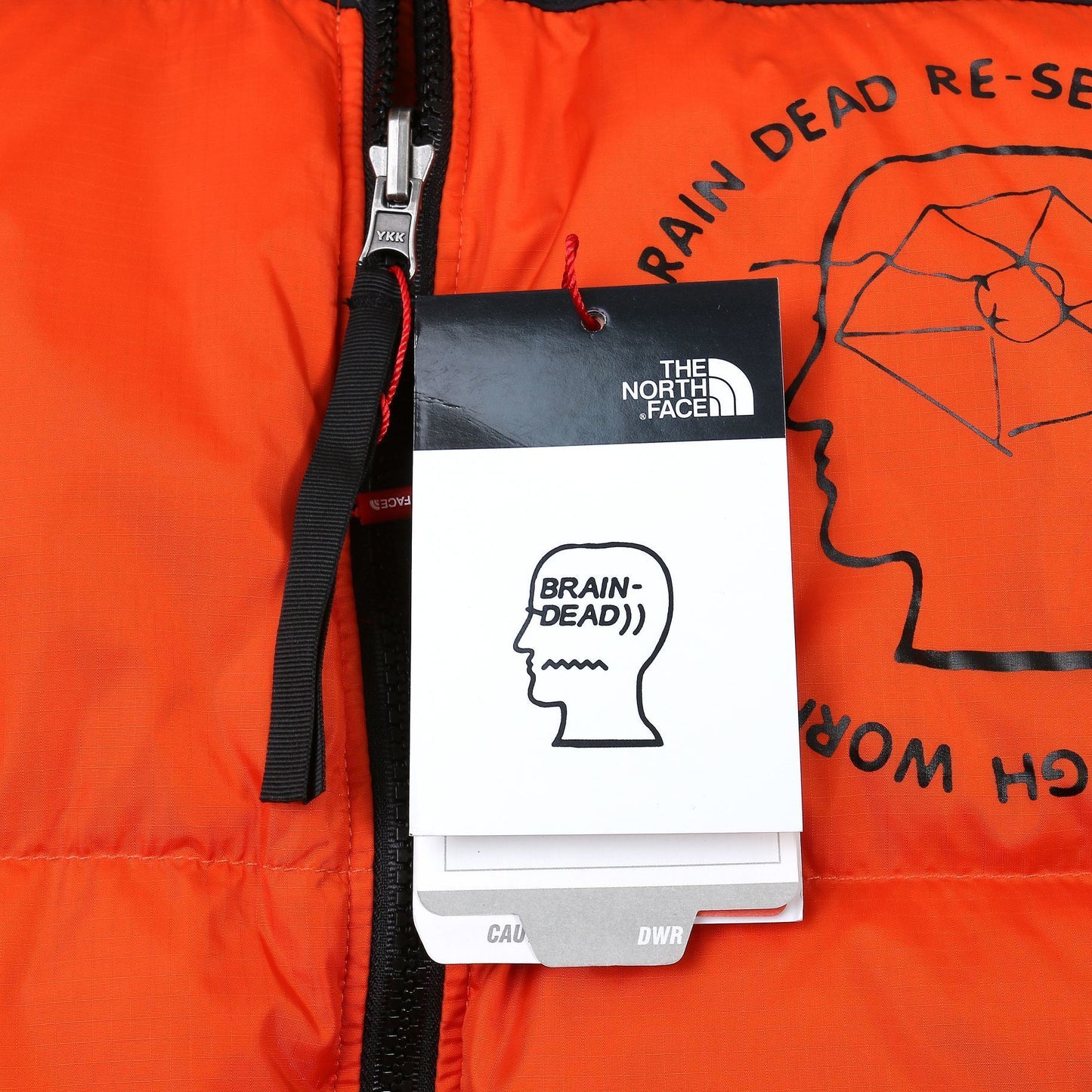 The North Face Down Jacket