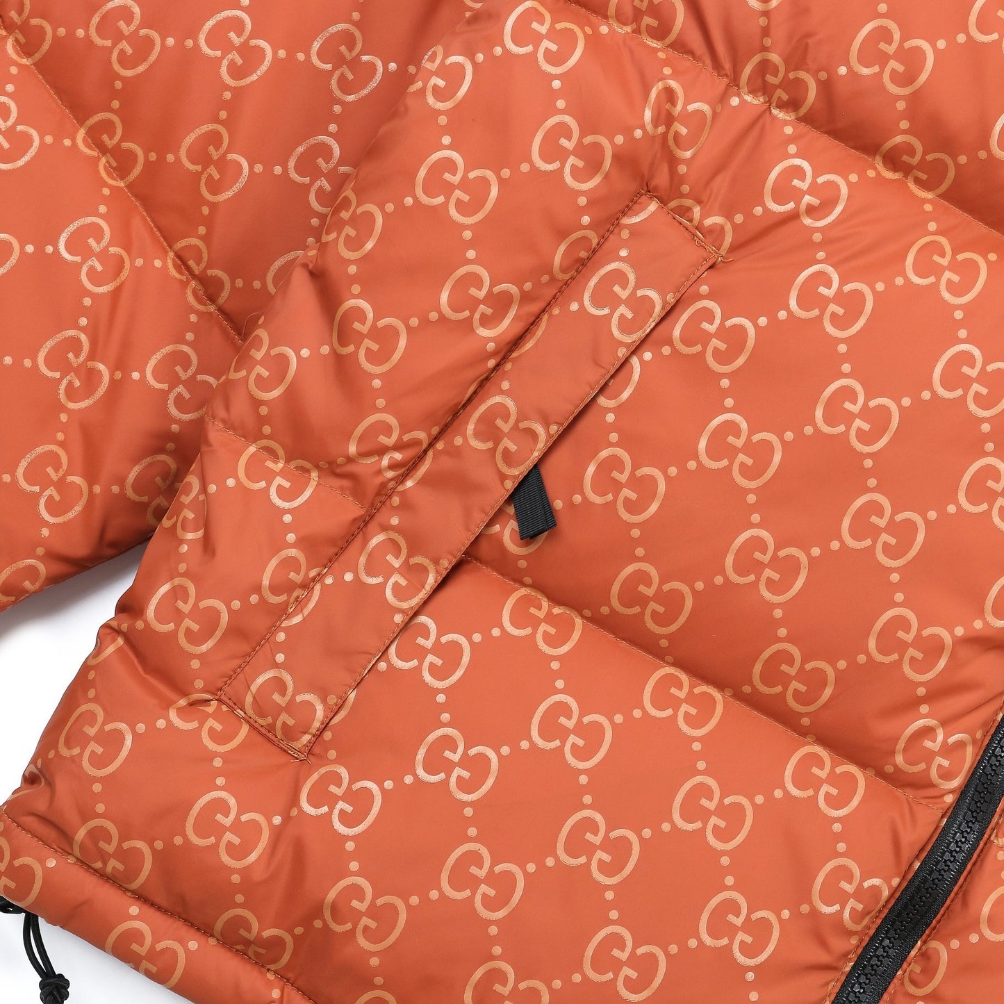 The North Face Down Jacket Gucci