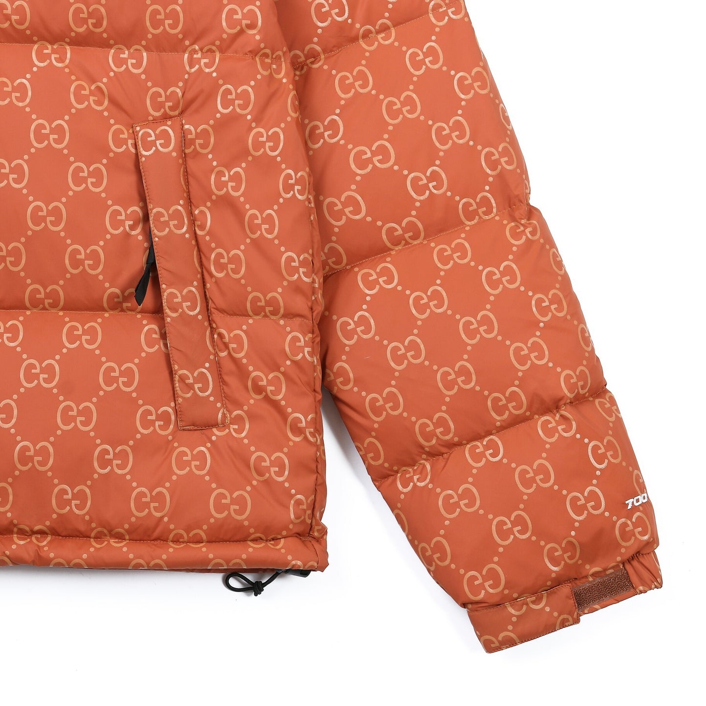 The North Face Down Jacket Gucci