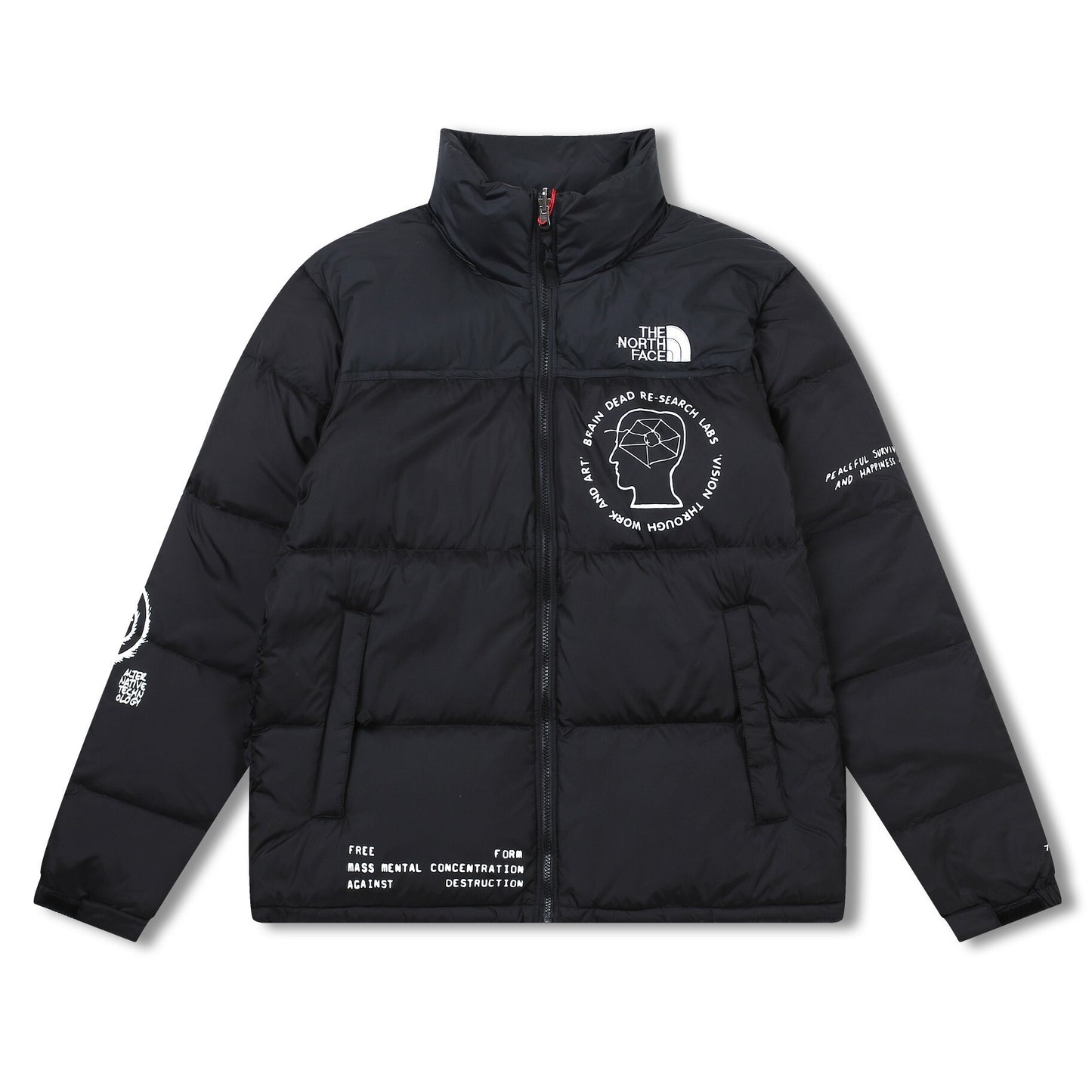 The North Face Down Jacket