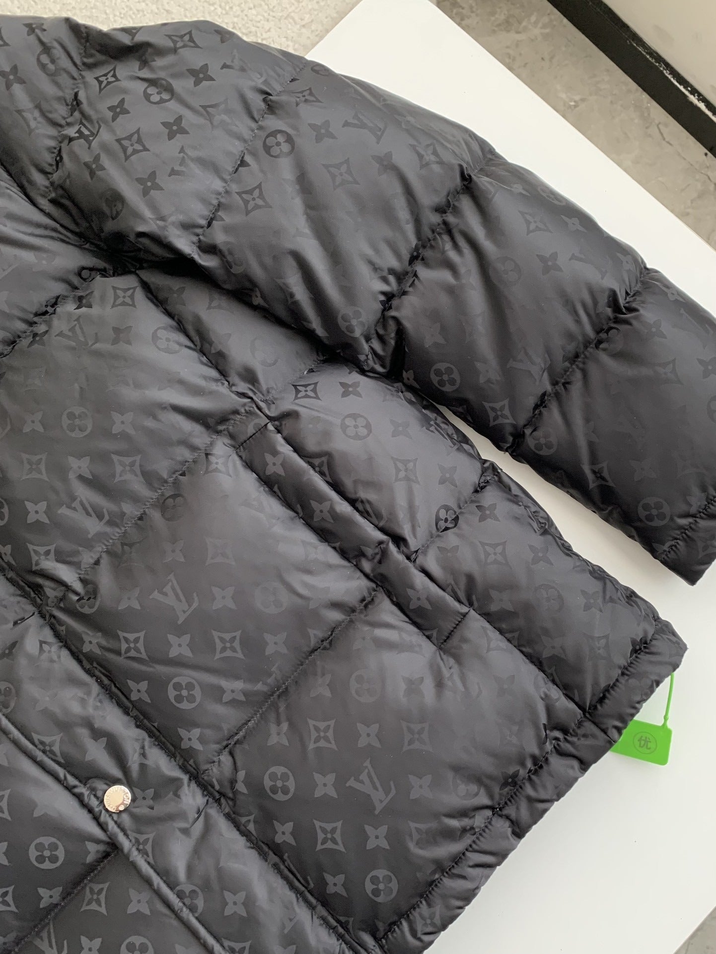 LOUIS VUITTON LOGO Down Jacket