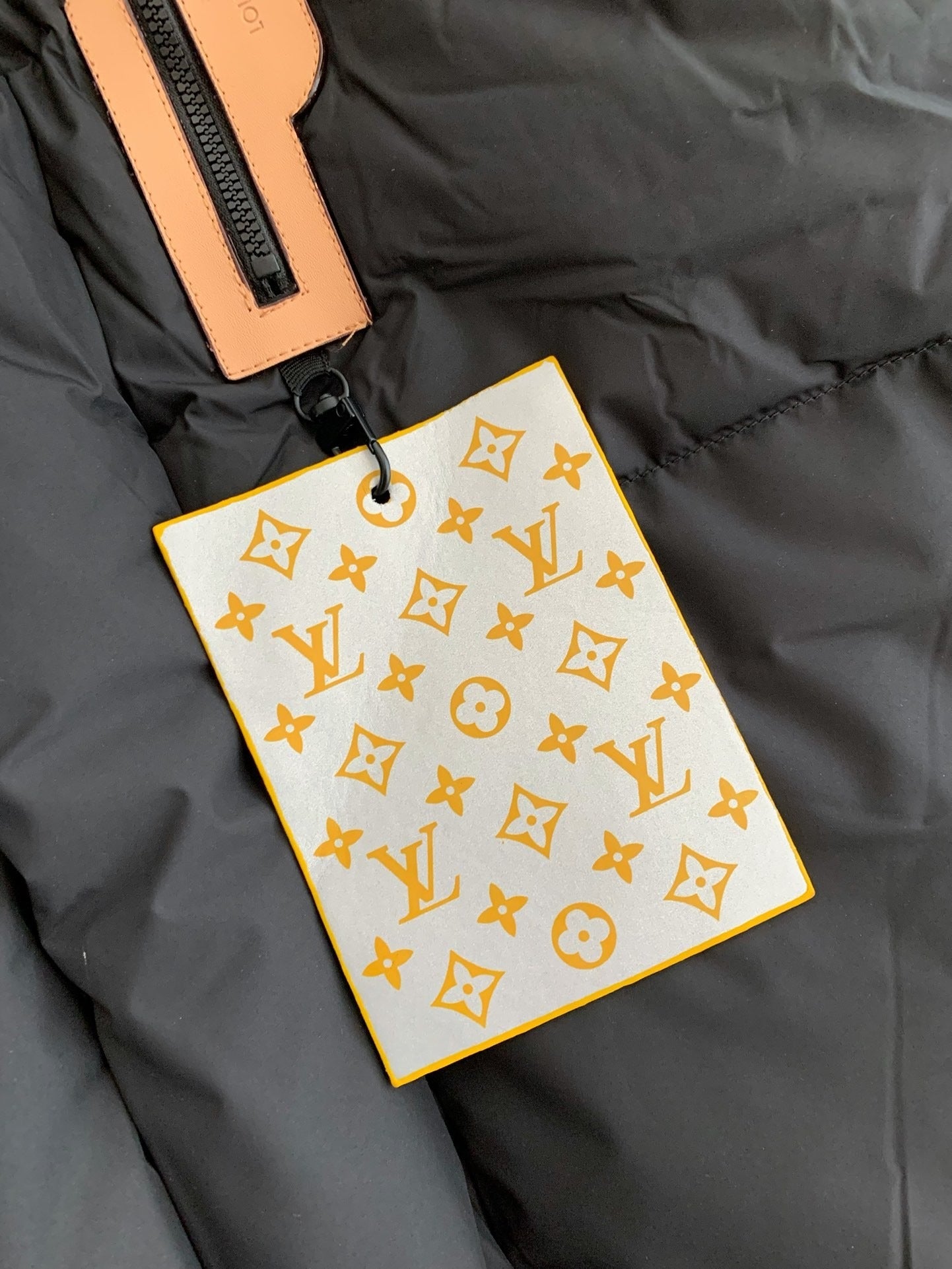 LOUIS VUITTON Down Jacket